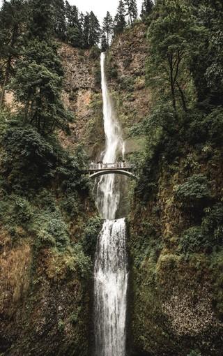 快刺水果